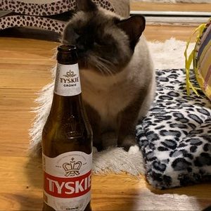 Meet your Posher, Jarvis